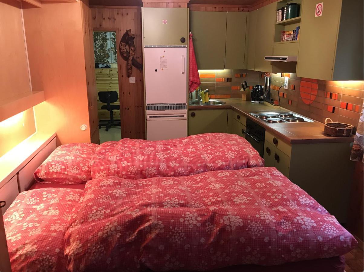 Ferienwohnung Im Chalet Boubou Wiler ภายนอก รูปภาพ